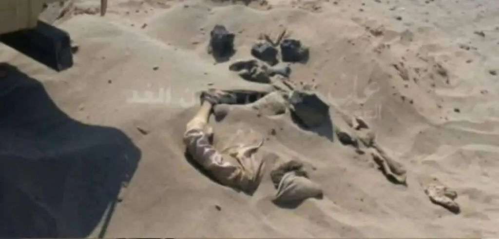 IMG ٢٠٢٦٠١٣١ ٢٣٠٩٥٦