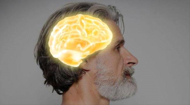 دراسة تكشف التغيرات الجينية المرتبطة بشيخوخة الدماغ دراسة تكشف التغيرات الجينية المرتبطة بشيخوخة الدماغ