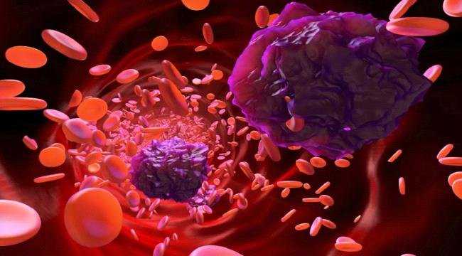 اكتشاف دواء جديد يحمي القلب ويعزز علاج السرطان اكتشاف دواء جديد يحمي القلب ويعزز علاج السرطان