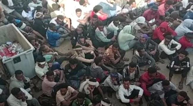 ضبط 564 من المتسللين الأفارقة في المهرة ضبط 564 من المتسللين الأفارقة في المهرة