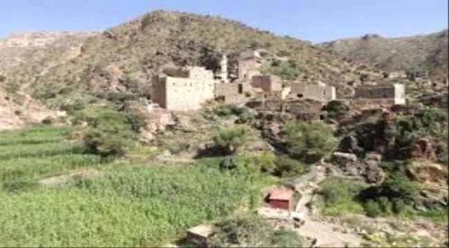 الحوثيون يواصلون استهداف المدنيين في الأزارق الحوثيون يواصلون استهداف المدنيين في الأزارق