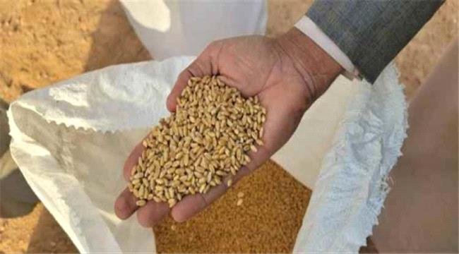 الفاو: اليمن سيحتاج إلى استيراد 5.2 مليون طن من الحبوب خلال 2026 الفاو اليمن سيحتاج إلى استيراد 52 مليون طن من الحبوب