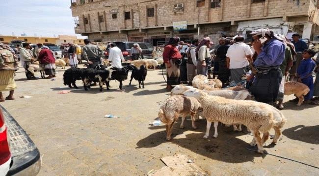 فضيحة تهز تعز… كيف حرم "إخوان اليمن" فقراء تعز من أضاحي العيد؟ فضيحة تهز تعز كيف حرم quotإخوان اليمنquot فقراء تعز من