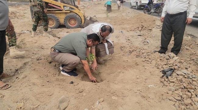 مدير عام البريقة يدشن مشروع تشجير الطريق العام إلى مركز المديرية مدير عام البريقة يدشن مشروع تشجير الطريق العام إلى مركز