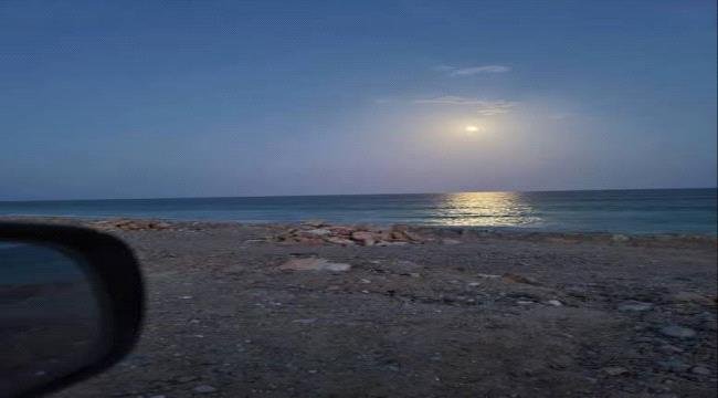 اغتيال مواطن أمام كورنيش الشحر وهروب الجناة اغتيال مواطن أمام كورنيش الشحر وهروب الجناة