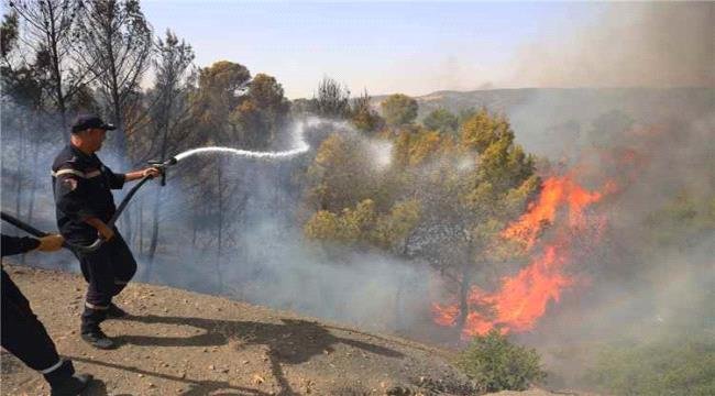 الجزائر تسجل 73 وفاة جراء حرائق الغابات ودفن جماعي لـ39 ضحية في ولاية جيجل الجزائر تسجل 73 وفاة جراء حرائق الغابات ودفن جماعي لـ39