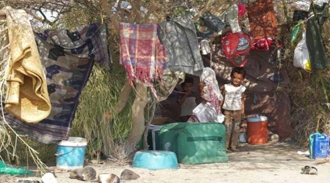 الأمم المتحدة: 86 ألف نازح جراء المعارك في اليمن الأمم المتحدة 86 ألف نازح جراء المعارك في اليمن