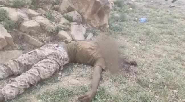 مستشفى البرح يستقبل 242 جثة لميليشيا الحوثي خلال يومين مستشفى البرح يستقبل 242 جثة لميليشيا الحوثي خلال يومين